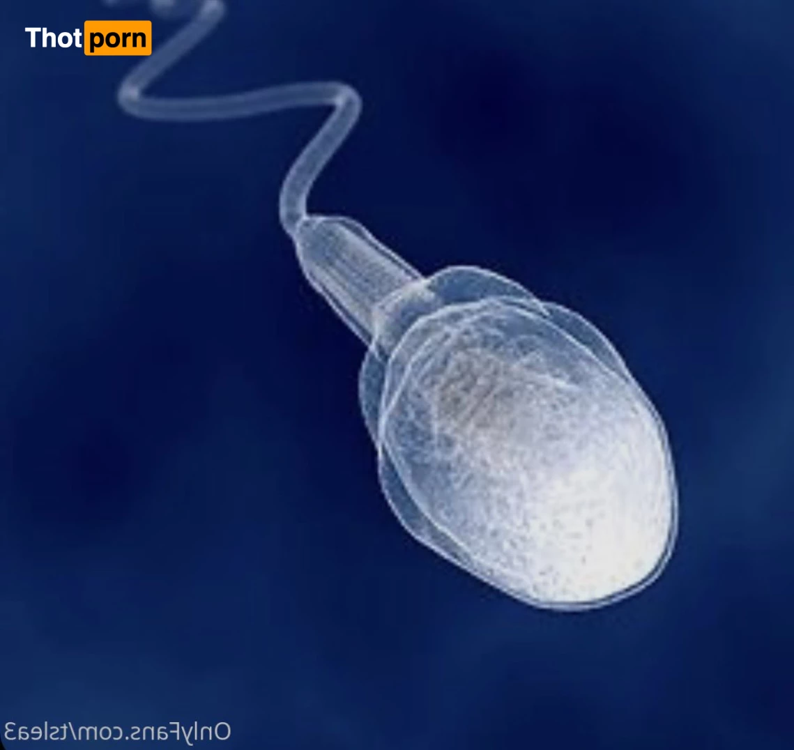 BAD&amp;BOOGIE 9732143