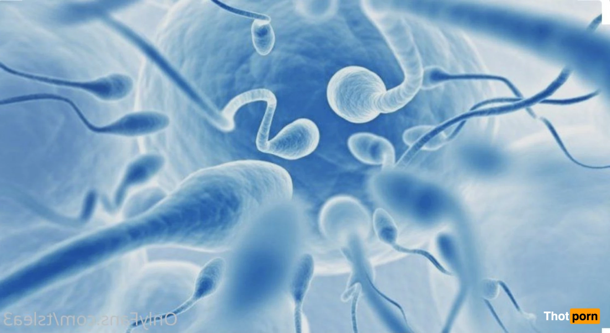 BAD&amp;BOOGIE 9732169