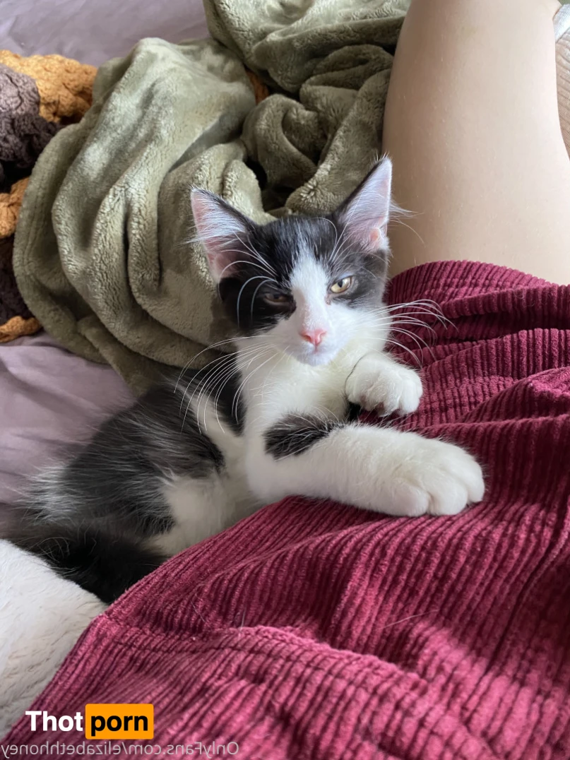 Elizabeth 💗 $4 Sale 13072061