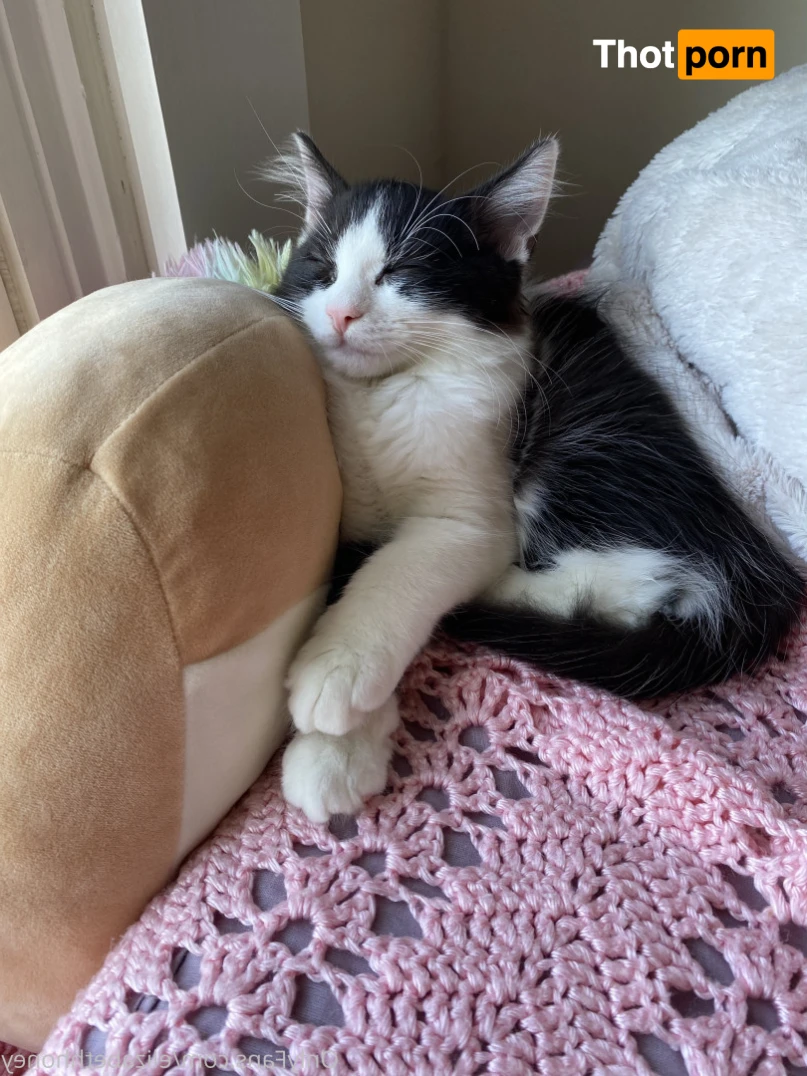 Elizabeth 💗 $4 Sale 13115114