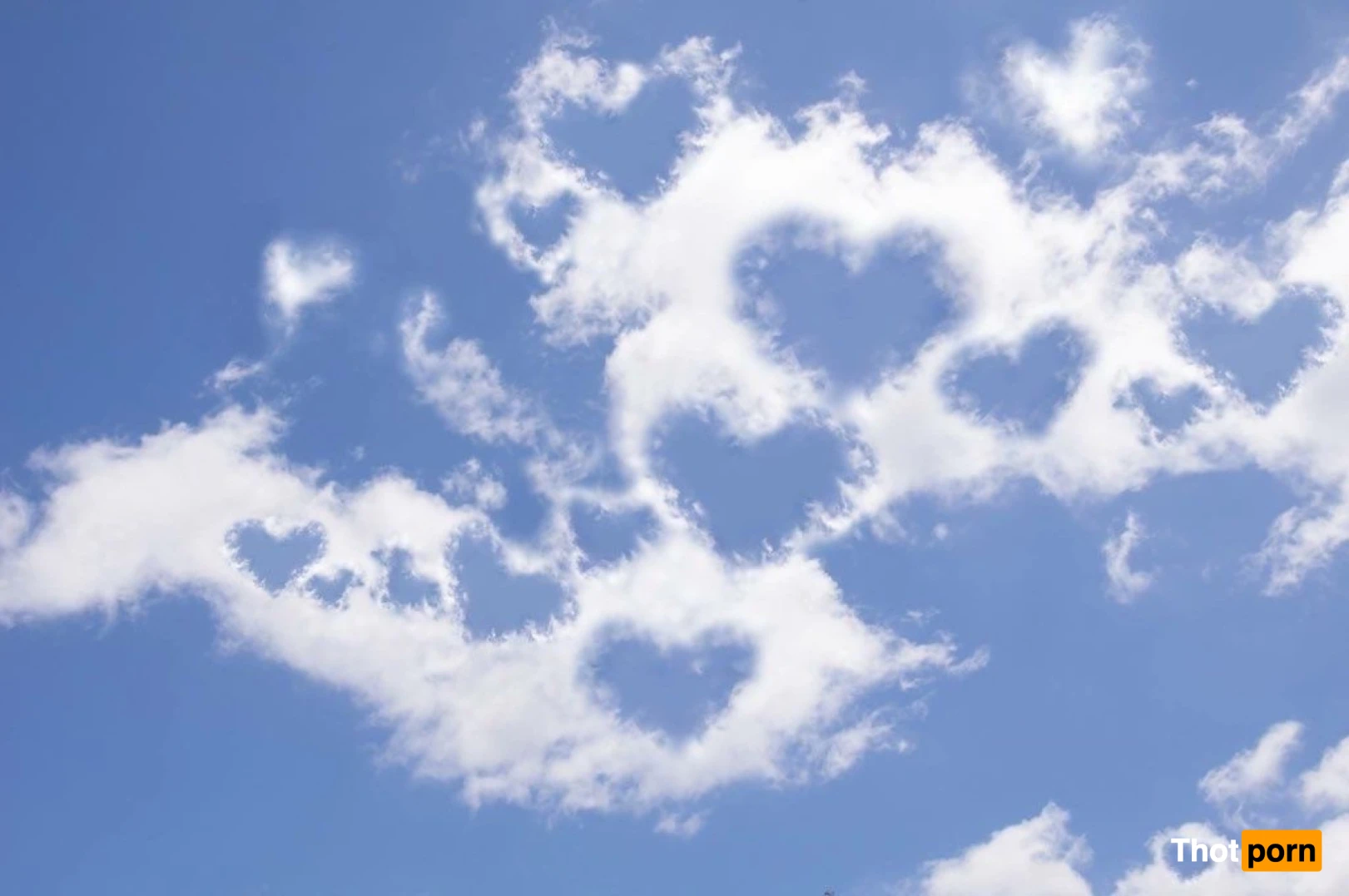 Elizabeth 💗 $4 Sale 13141485