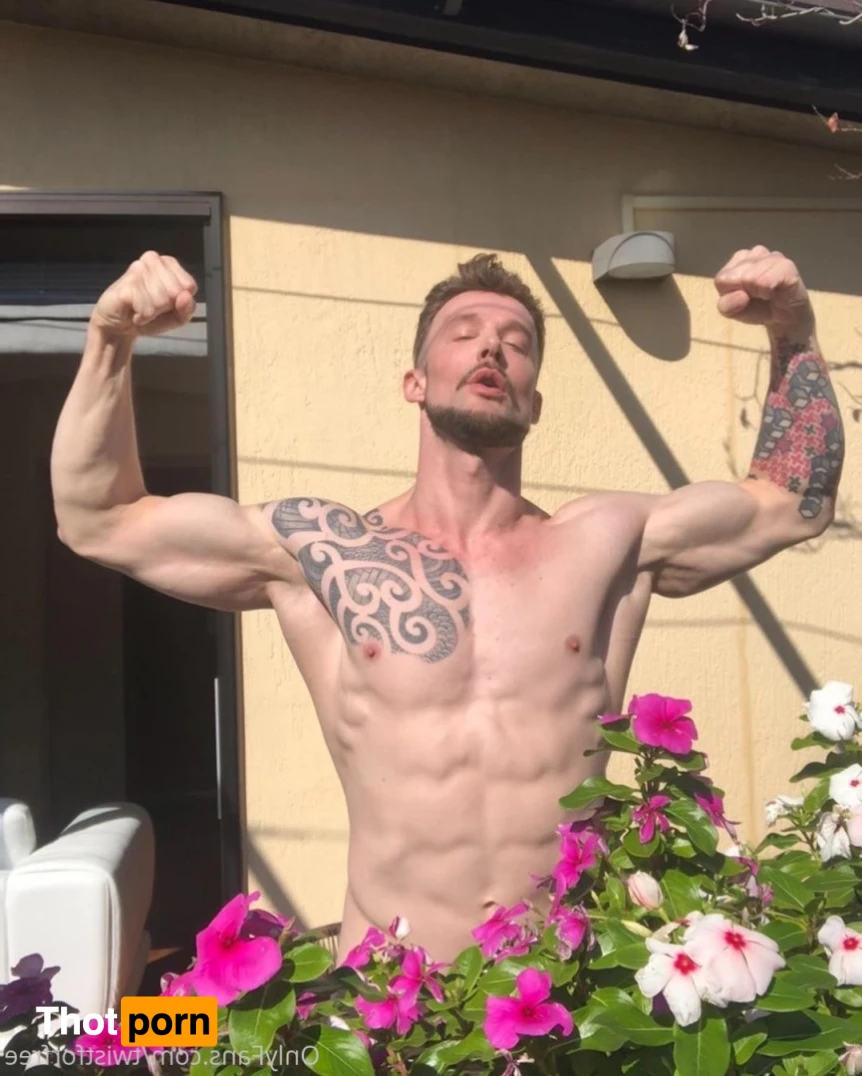 twistforfree 6187418