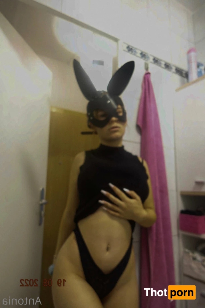 imhotantonia 6186786