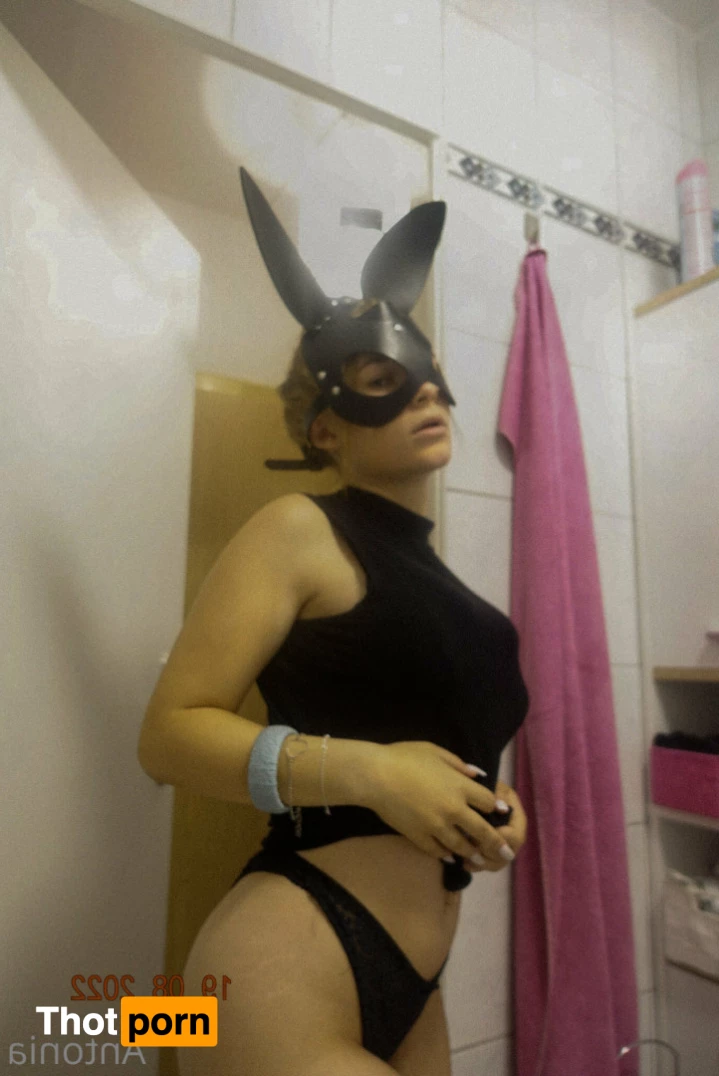 imhotantonia 6186826