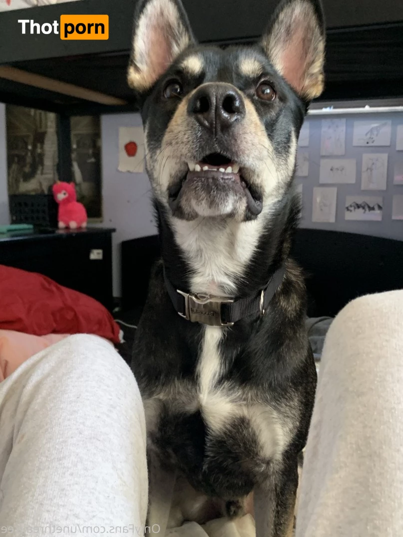 Little El’s Free Page ❤️💌 2602525