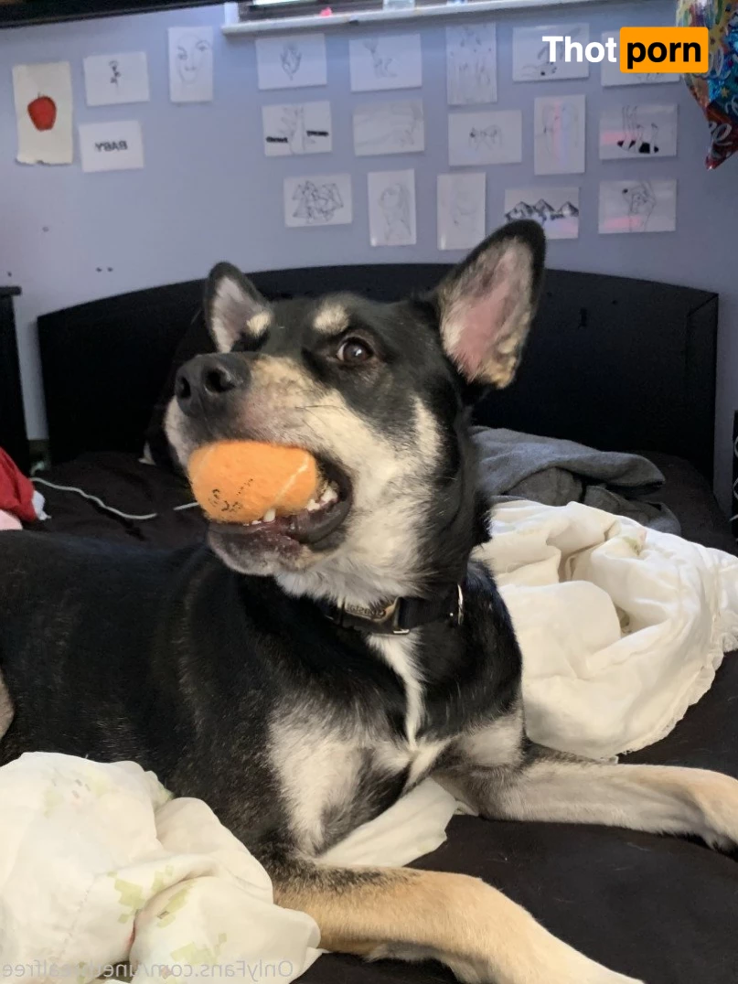 Little El’s Free Page ❤️💌 2602562