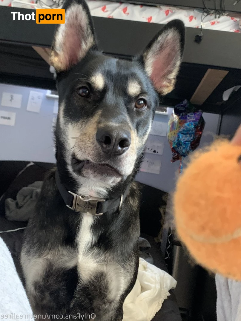 Little El’s Free Page ❤️💌 2602582