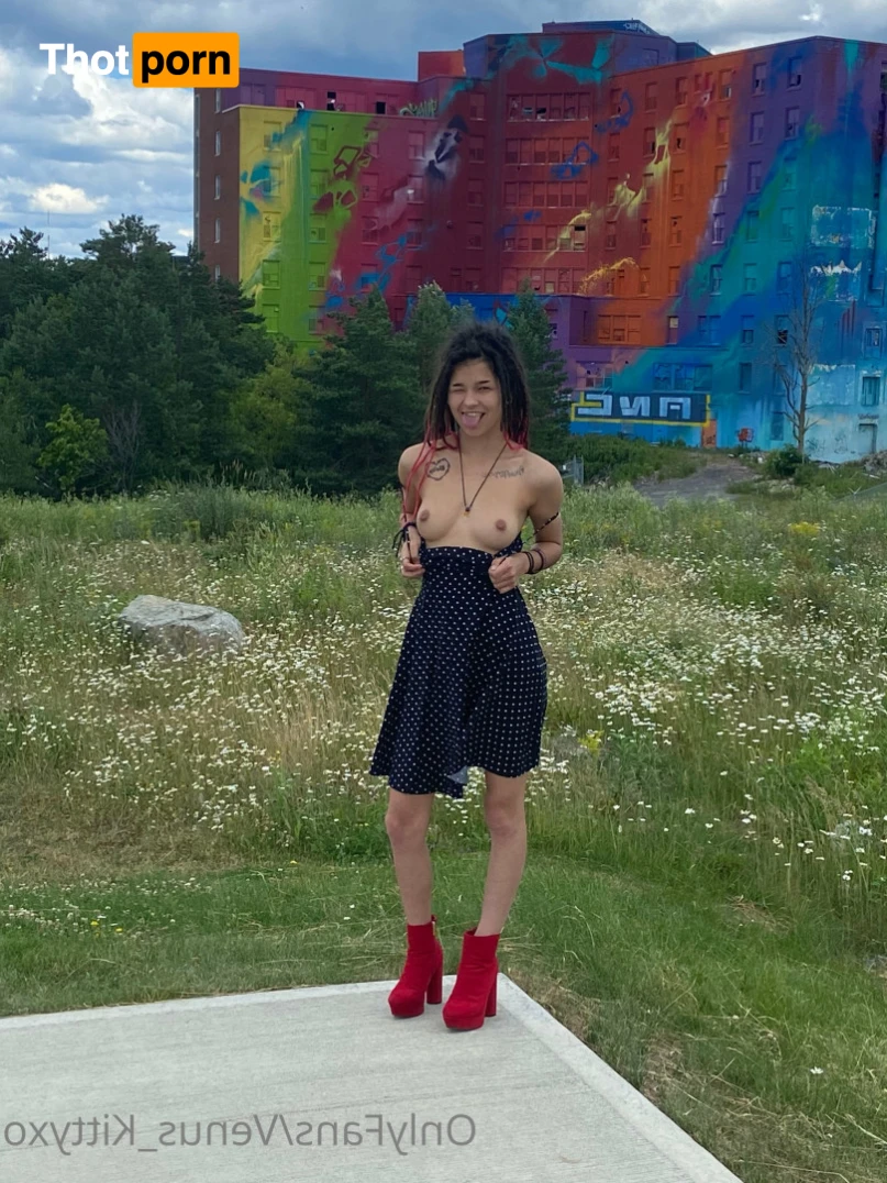 Venus Kittyxo 15014241