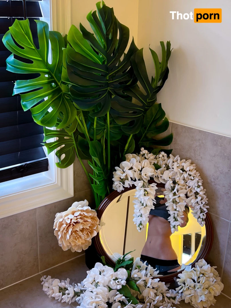 Vera Bambi (FREE) 7928555