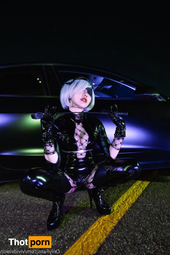 Vivid Vision 2599513