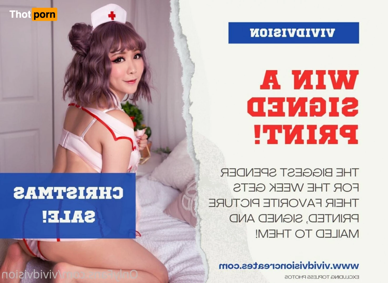 Vivid Vision 2599533