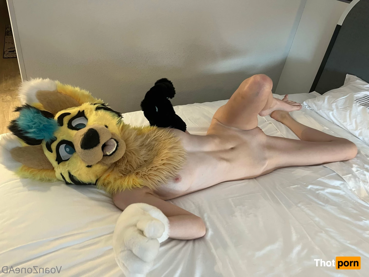 Naughty Folf💙 7743112