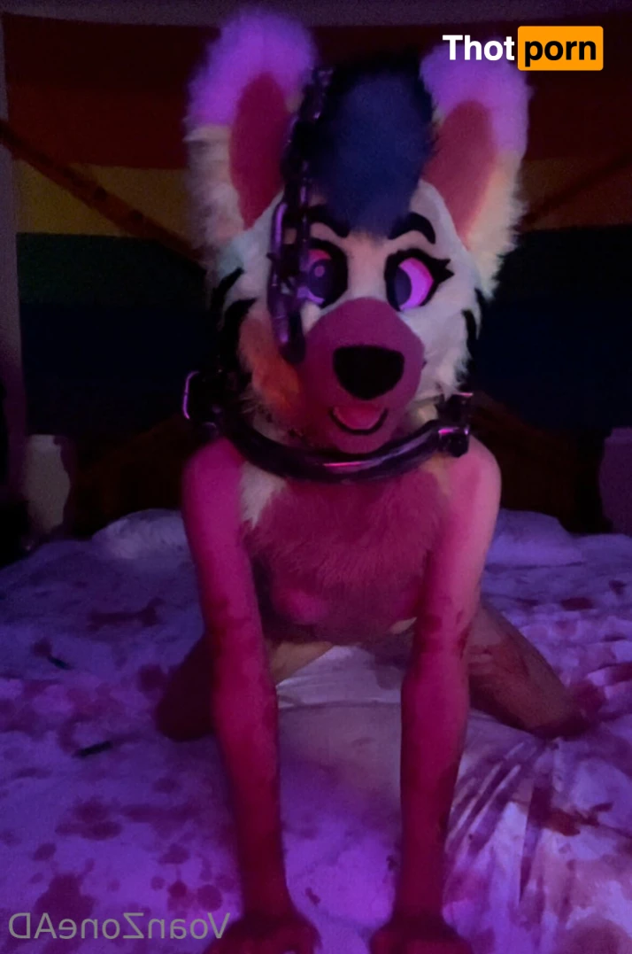 Naughty Folf💙 7743115