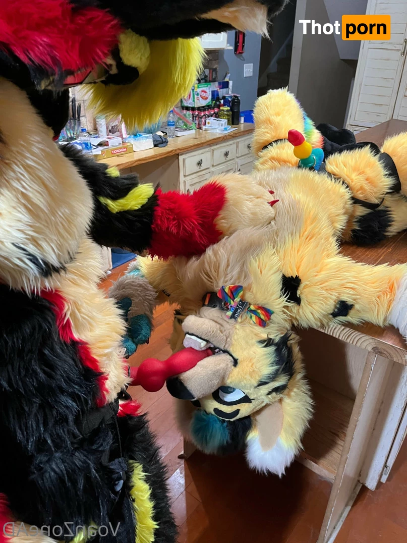 Naughty Folf💙 7743136