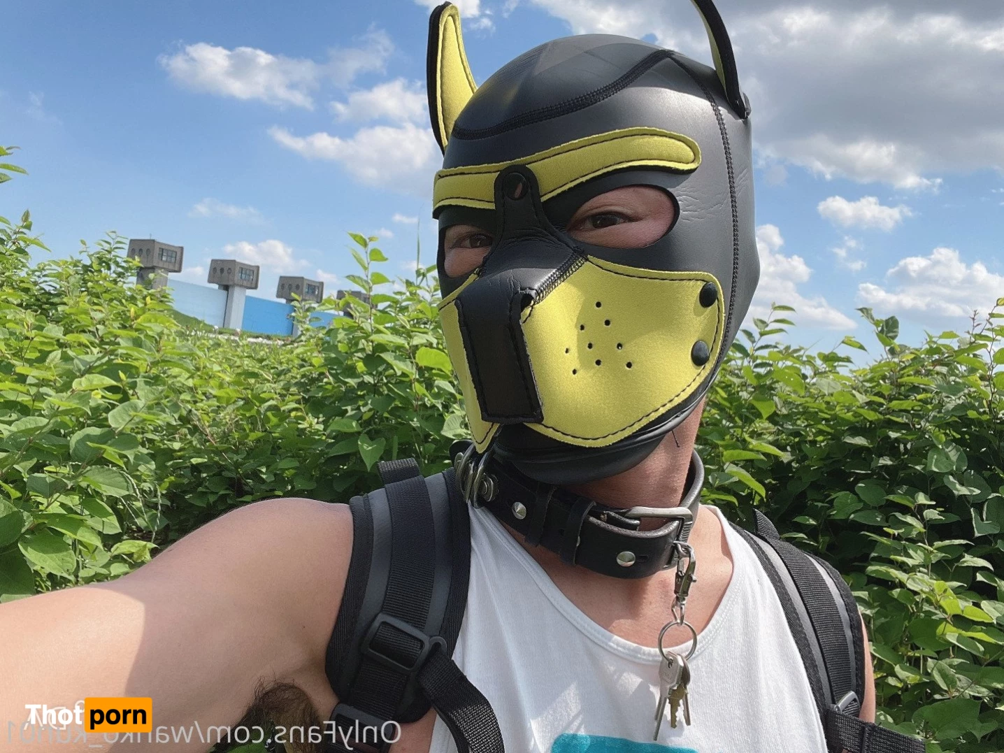 闇堕ちワンコくん 2598271