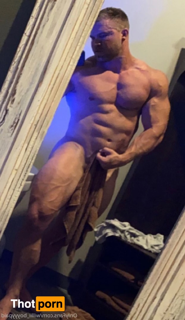 Willii_boyyypaid 2589029