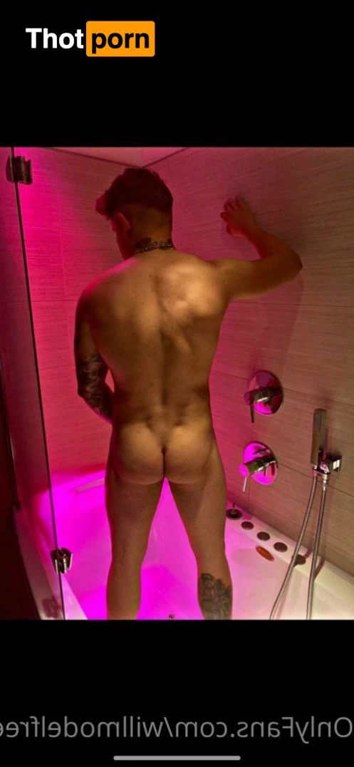 William Model Free 2579892