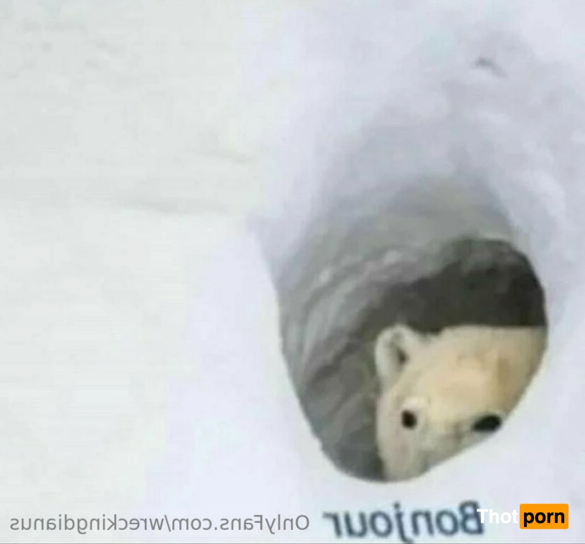 WreckingDianus 13302195