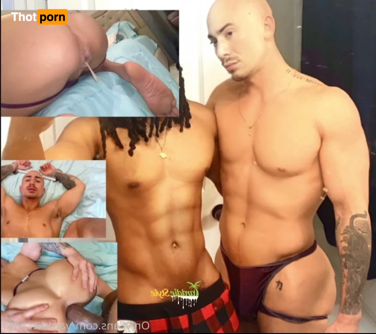 Yarddiestyle1 2582953