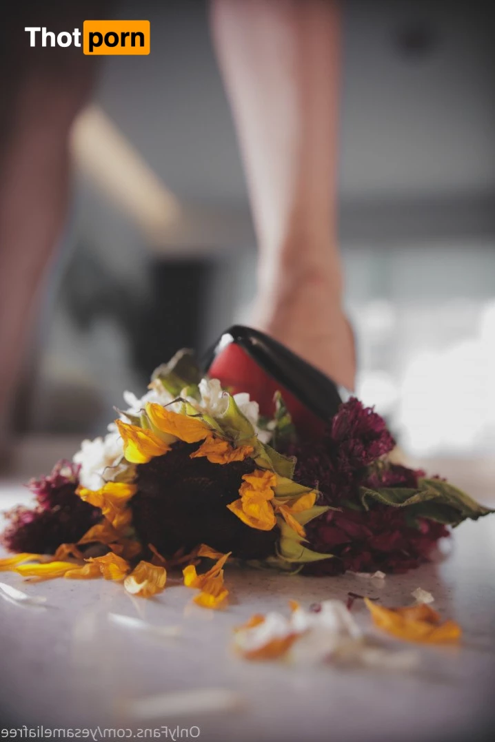 Yes Miss Amelia 2589734