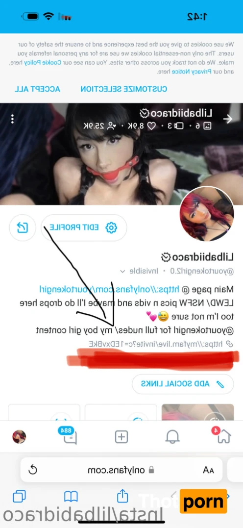 Lilbabiidraco 14669438