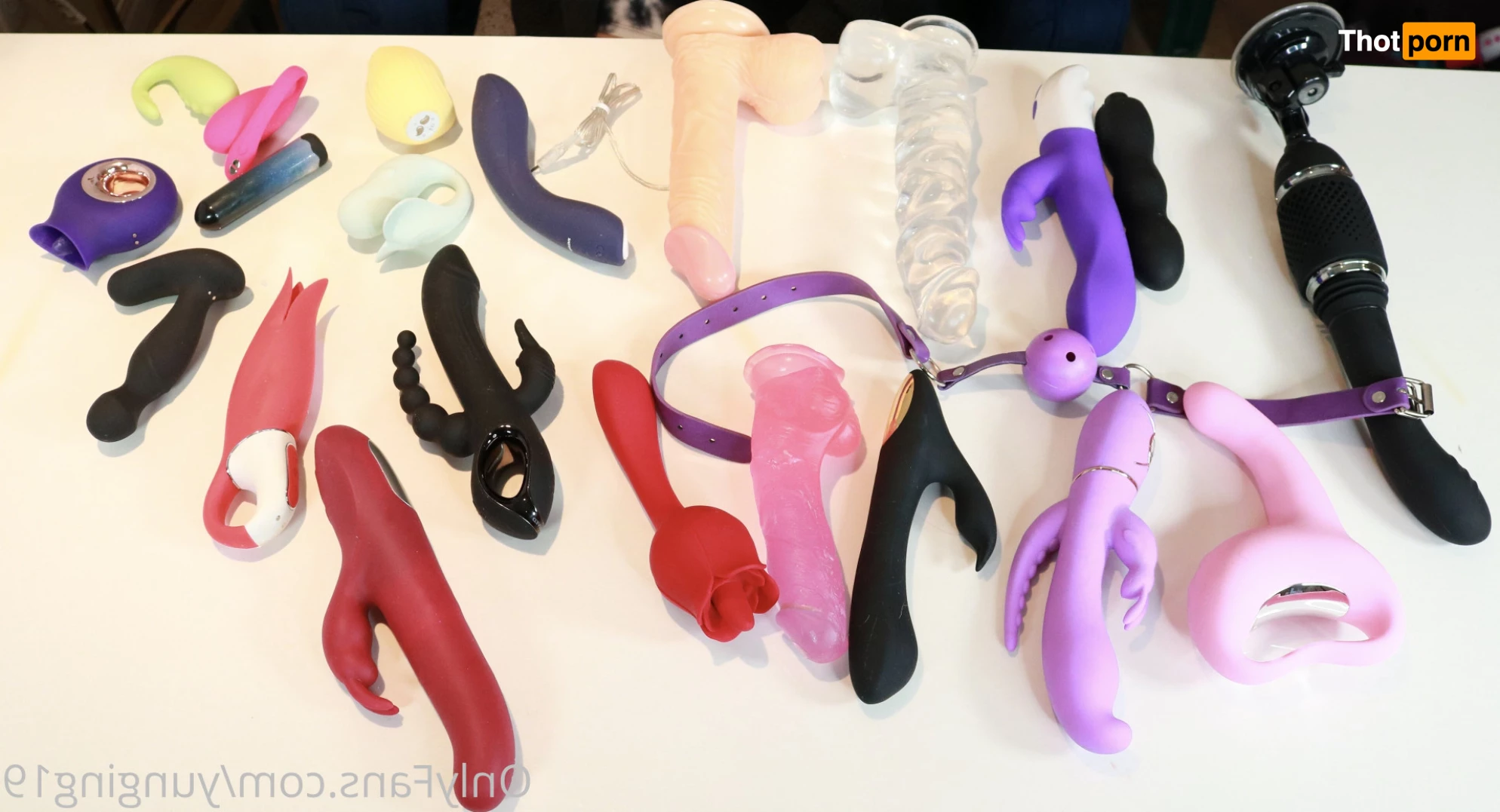 Ashley Elizabeth 5742507