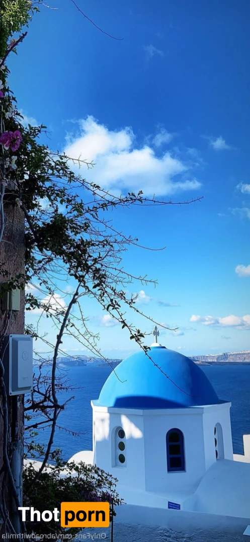 Abroad with Mila 14651584