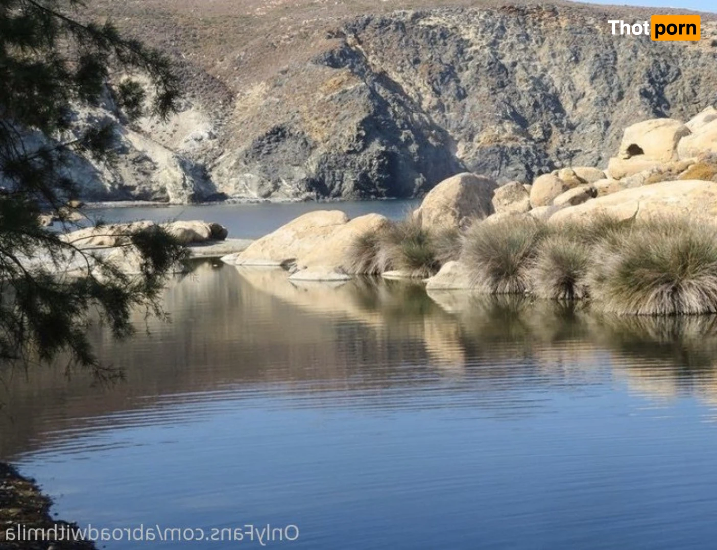 Abroad with Mila 14651676