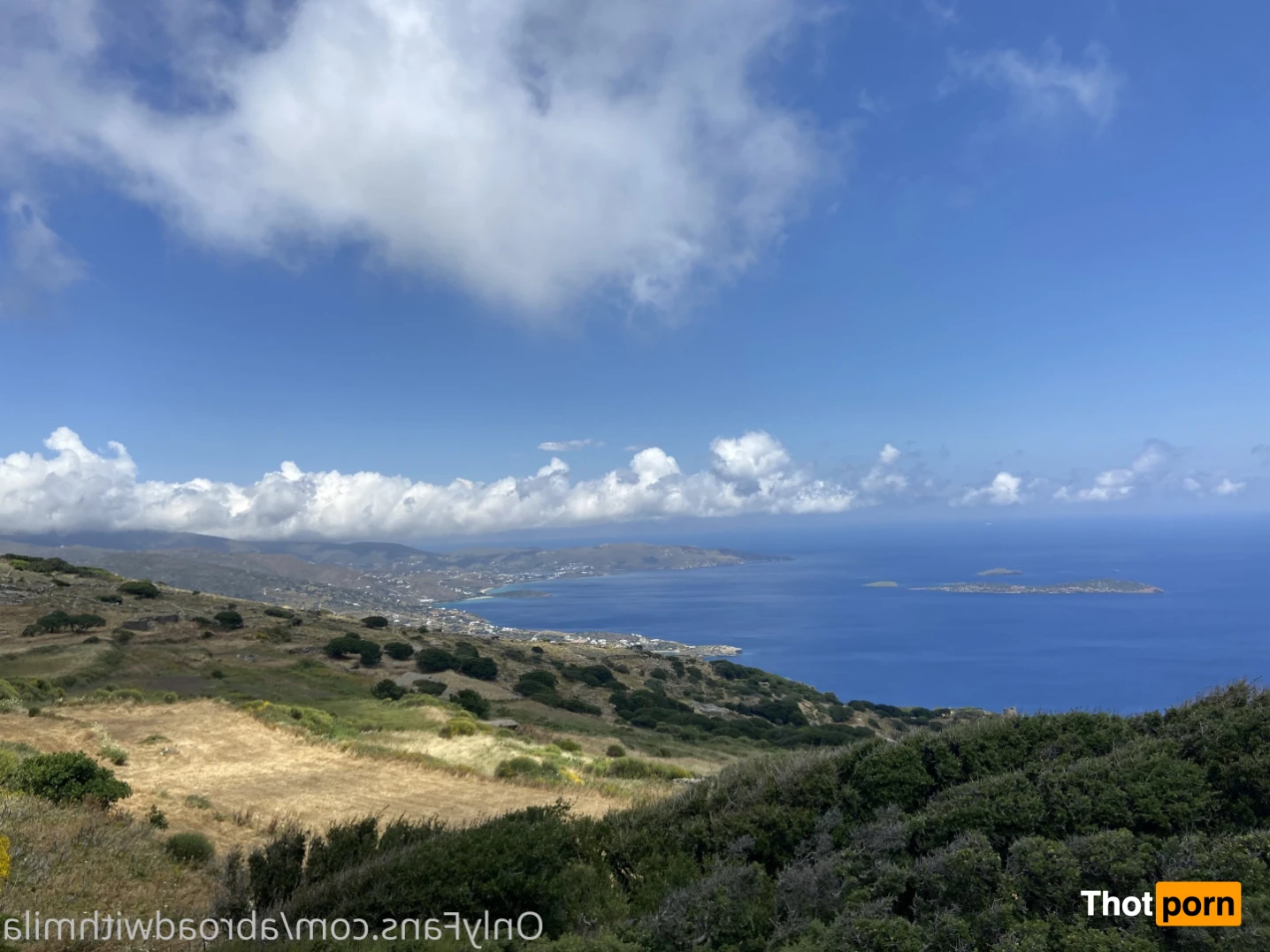 Abroad with Mila 14652232