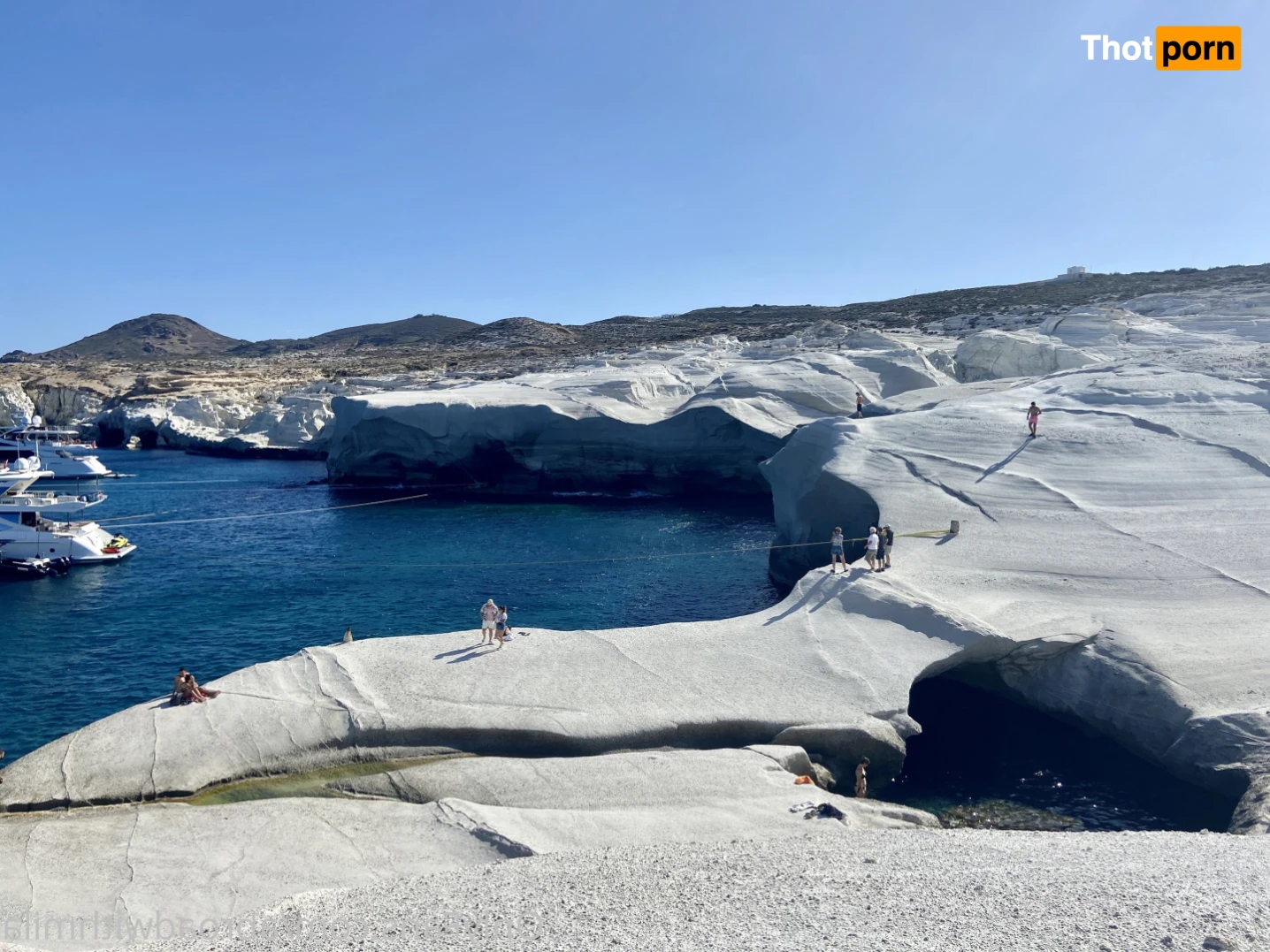 Abroad with Mila 14652544