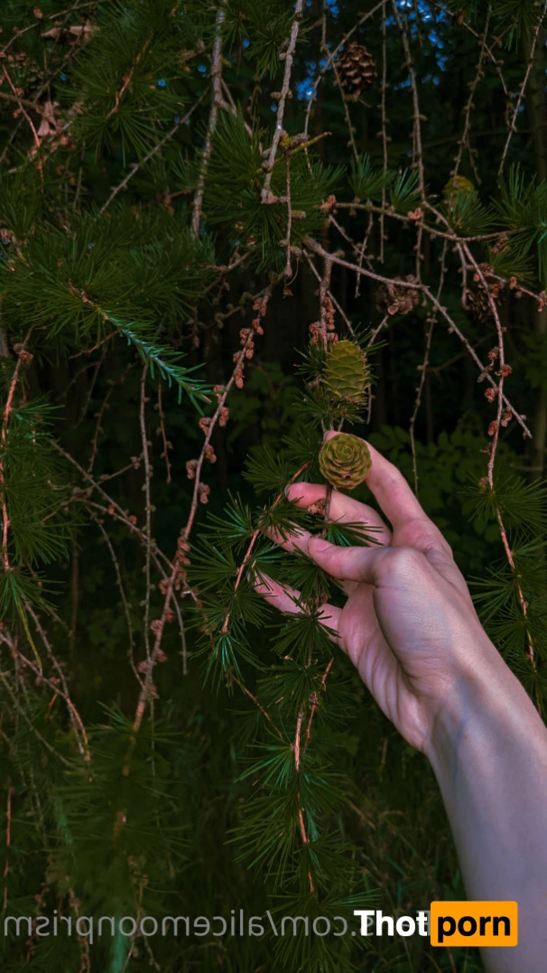 Alice Moon 🌙 5650404