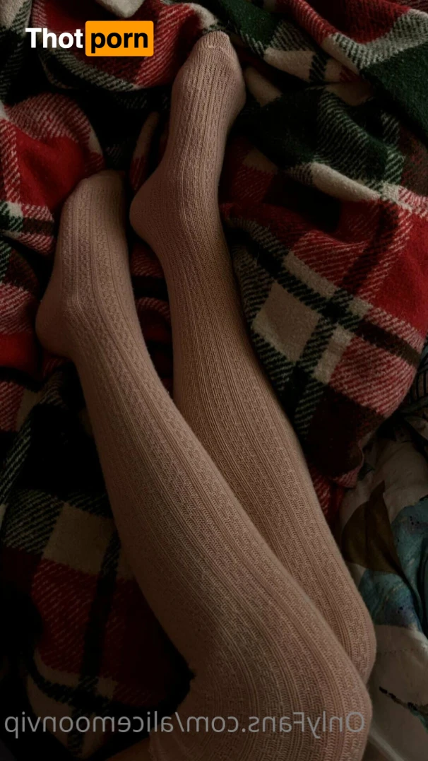 Alice Moon ✨VIP🌙 14597094