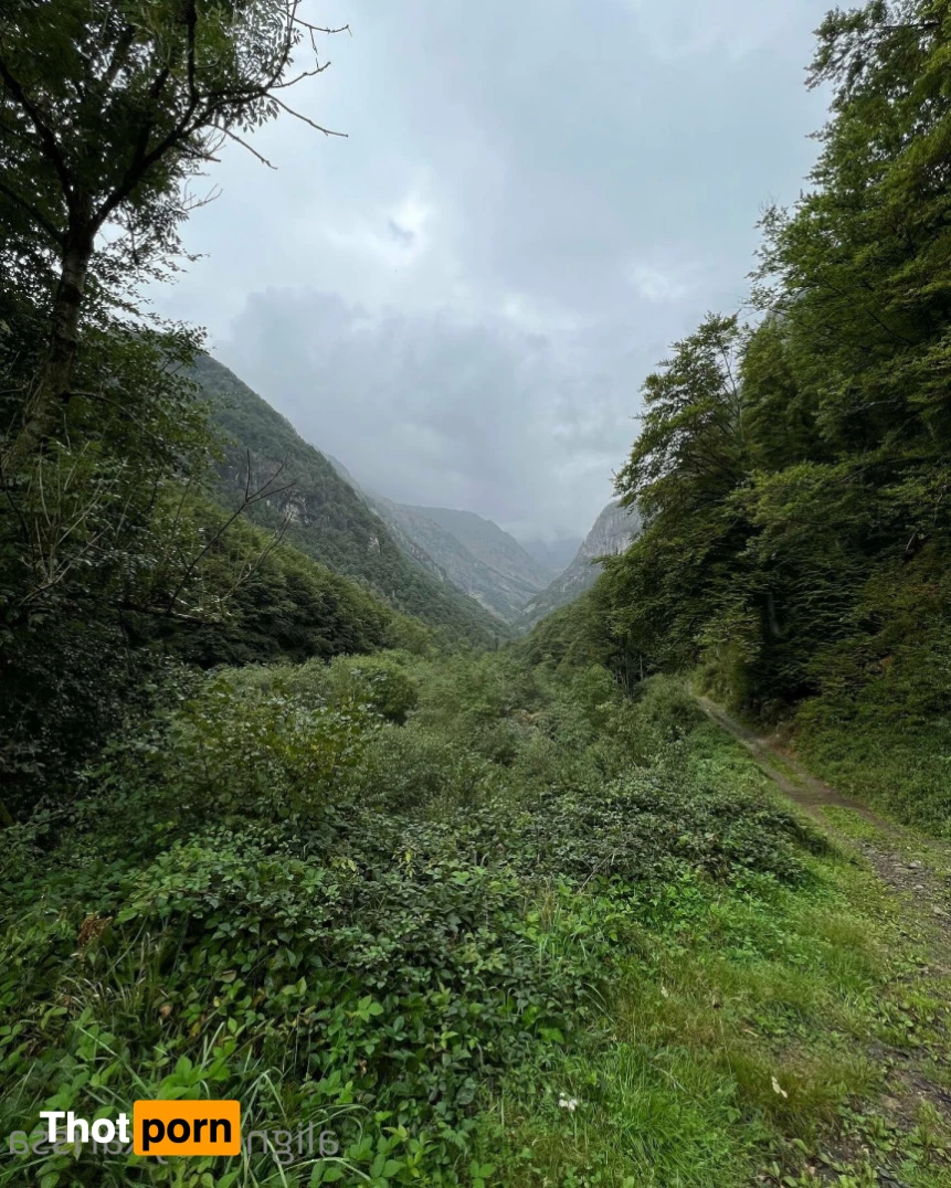 Aligned By Karissa 5814528