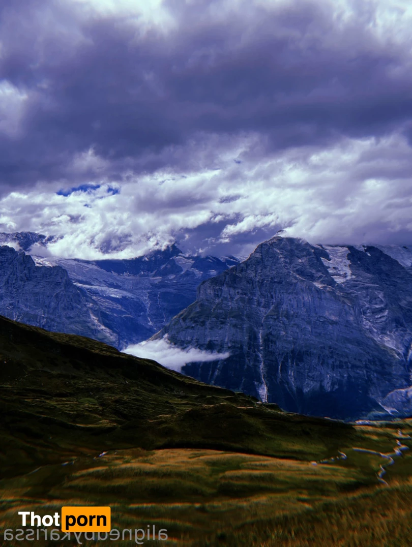 Aligned By Karissa 5814567