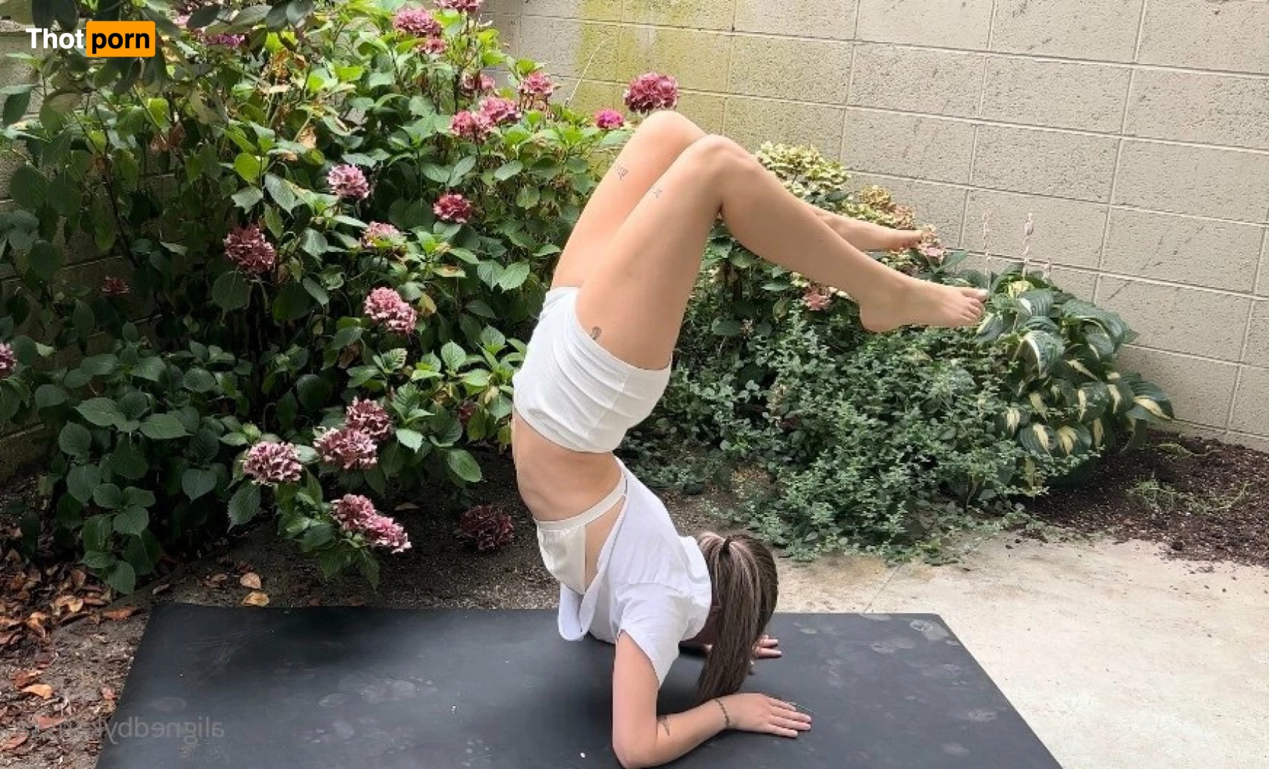 Aligned By Karissa 5814723