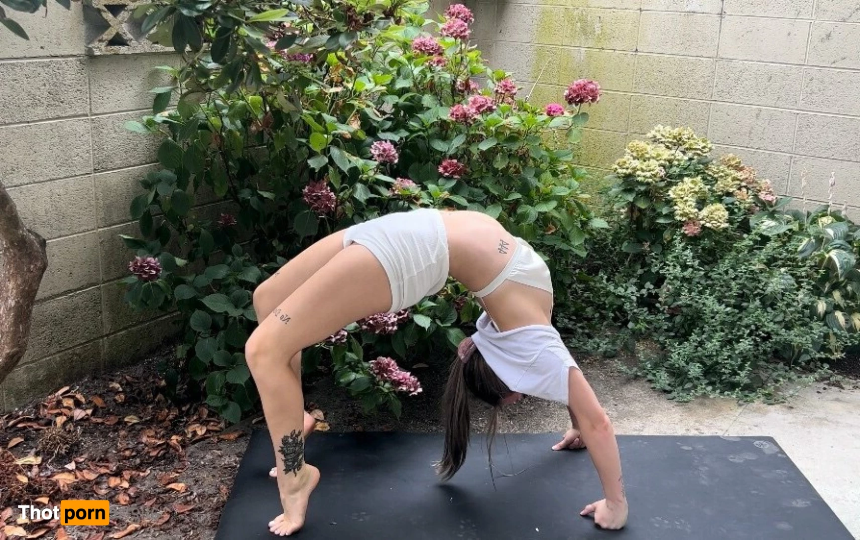 Aligned By Karissa 5814811