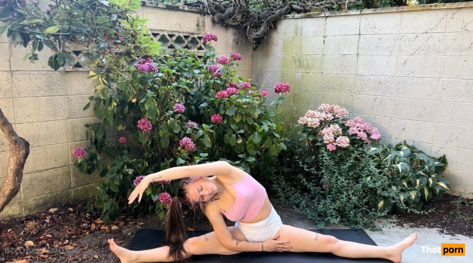 Aligned By Karissa 5814821