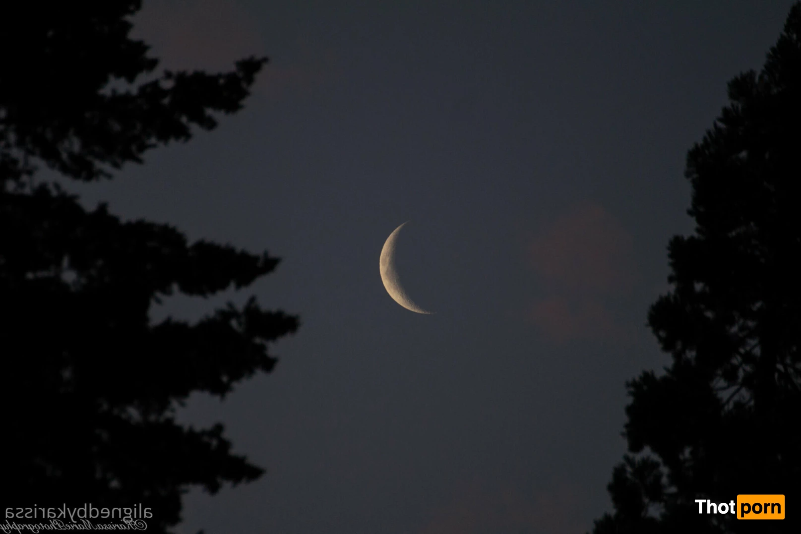 Aligned By Karissa 5814847