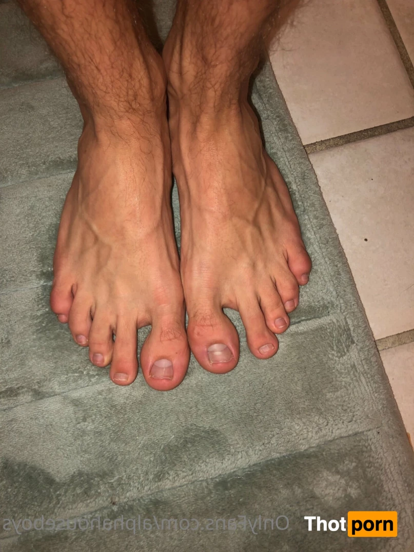 alphahouseboys 5645122