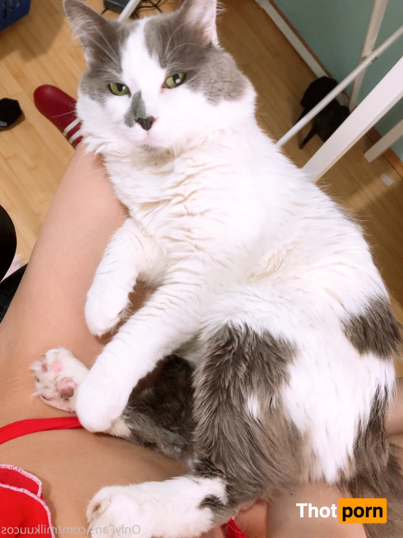 Ame Airi (Milkuu) 5621195