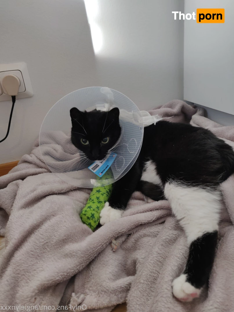 Angie Lynx ✨TOP 1.7%✨️ 5640493