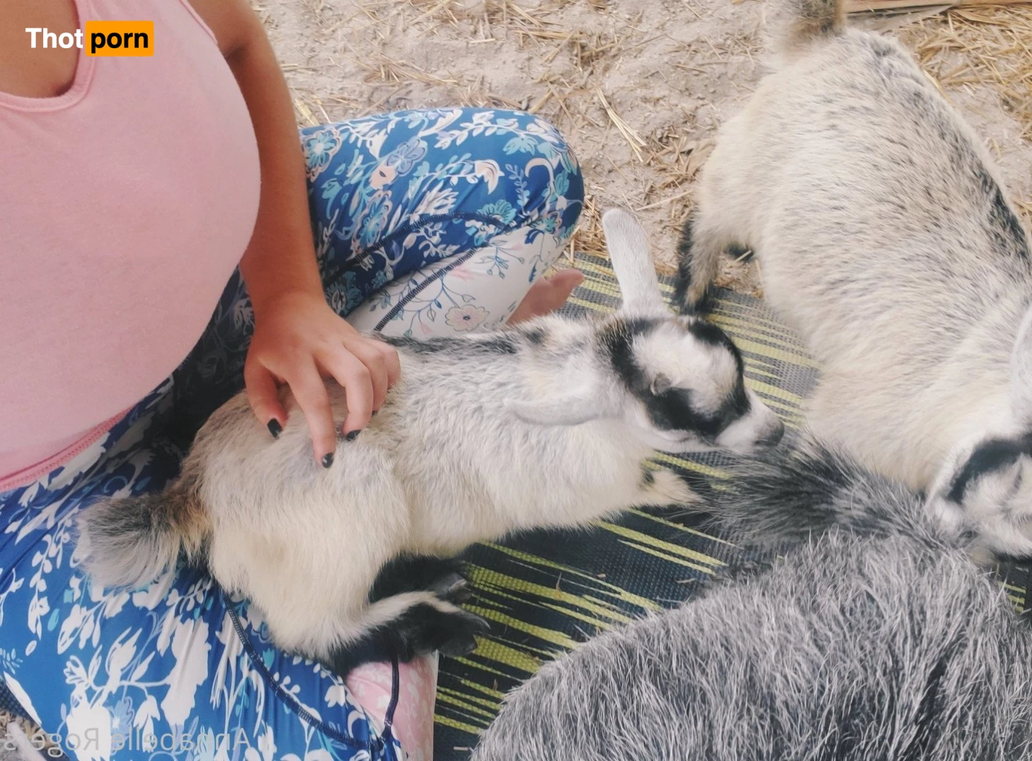 AnnabelleRogersFree 5256333