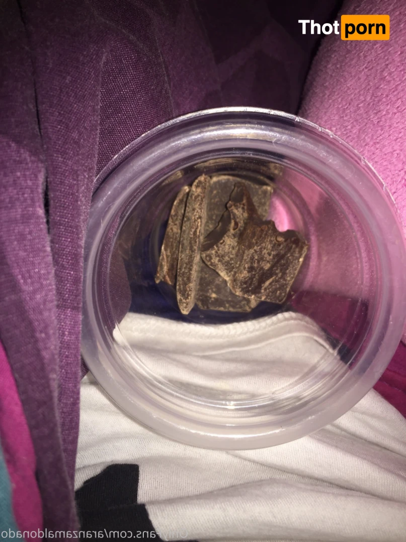 Aranza Maldonado 14274743