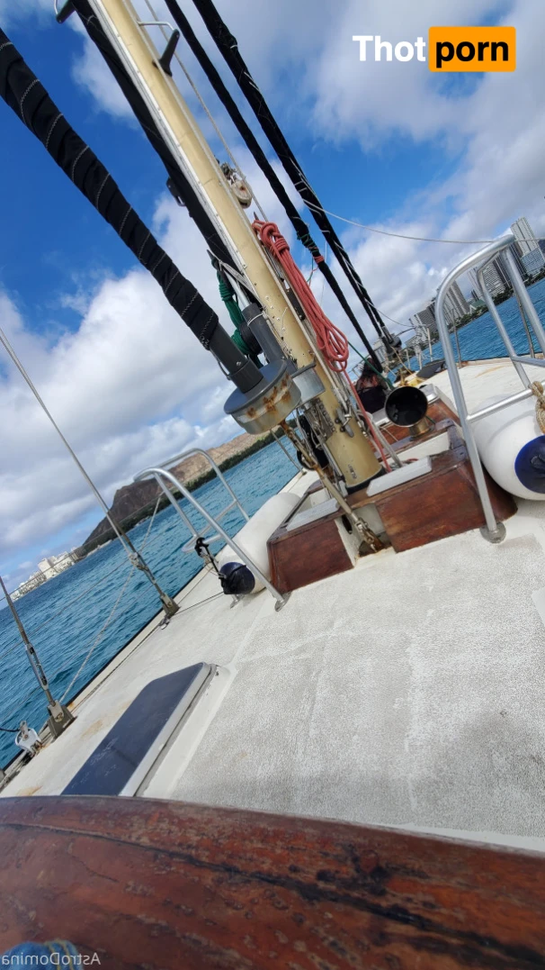 astrodomina 13411010