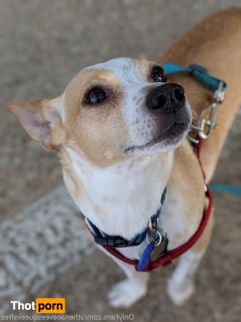 FREE 🌈 GGG 🌈 VIDEO ➡️ VIP 5221150