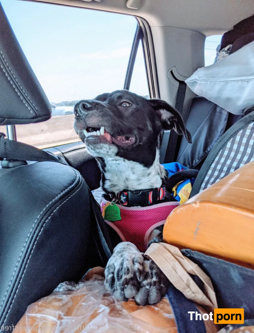 FREE 🌈 GGG 🌈 VIDEO ➡️ VIP 5221396