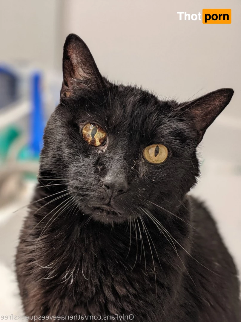 FREE 🌈 GGG 🌈 VIDEO ➡️ VIP 5221527