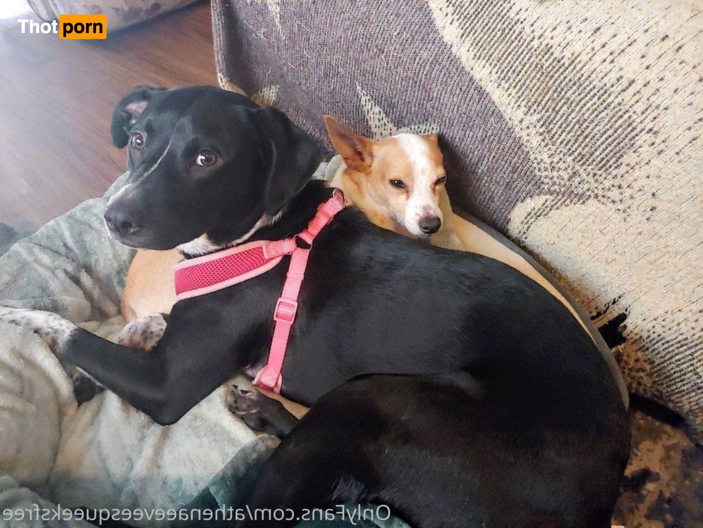 FREE 🌈 GGG 🌈 VIDEO ➡️ VIP 5221748