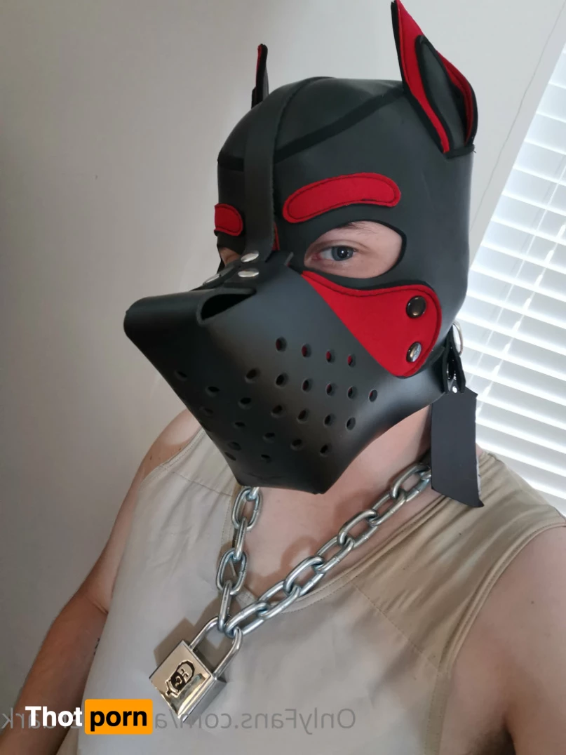 Pup Axel 5996081