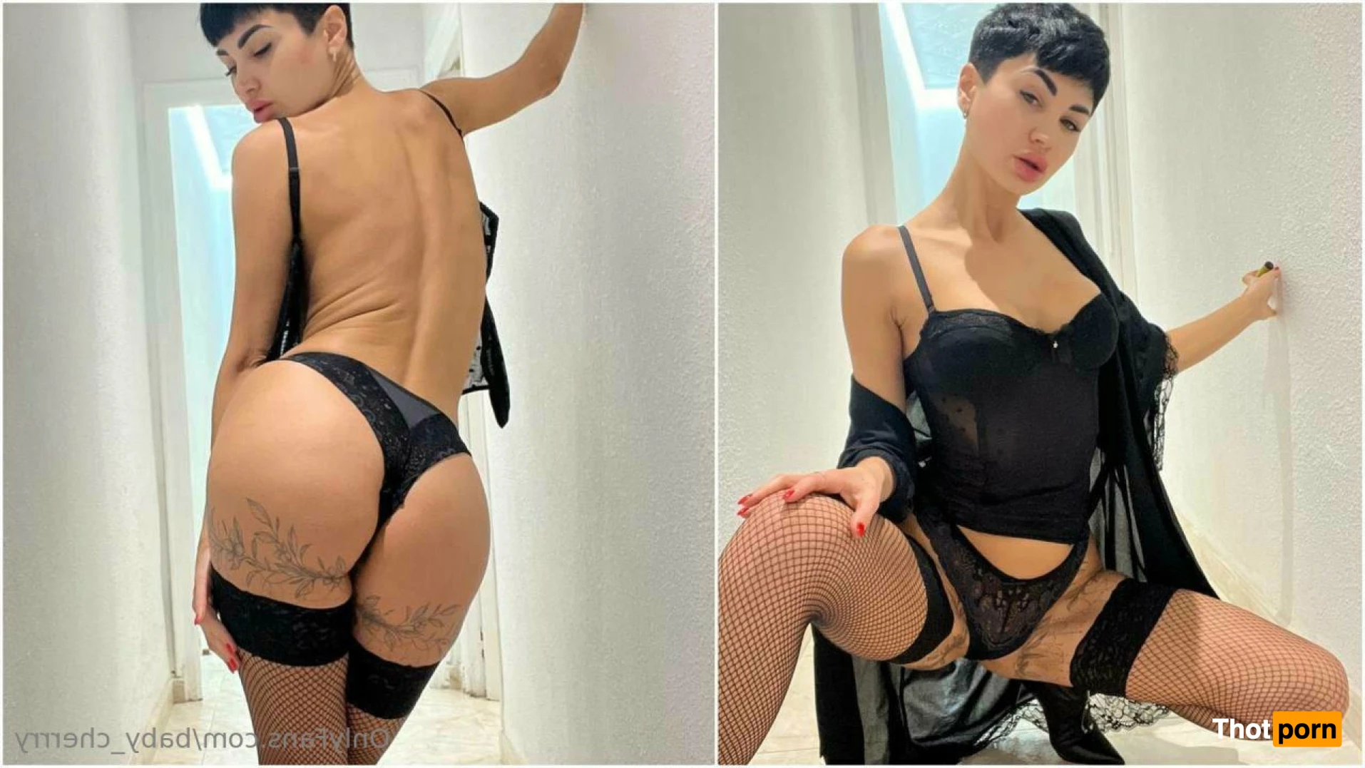 Cherry Blossom 14031894